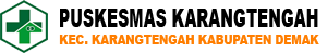Website Resmi Puskesmas Karangtengah - Demak